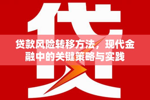 内湖贷款风险转移方法，现代金融中的关键策略与实践