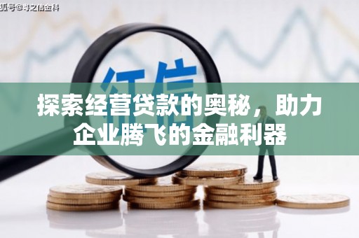 内湖探索经营贷款的奥秘，助力企业腾飞的金融利器