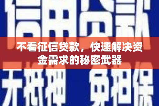 内湖不看征信贷款，快速解决资金需求的秘密武器