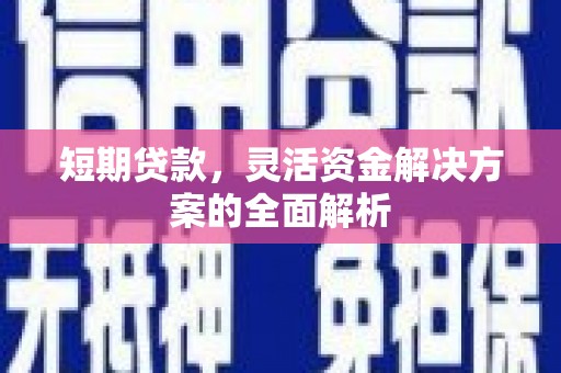内湖短期贷款，灵活资金解决方案的全面解析