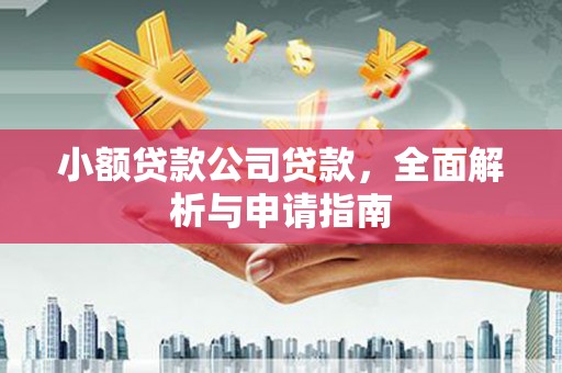 内湖小额贷款公司贷款，全面解析与申请指南
