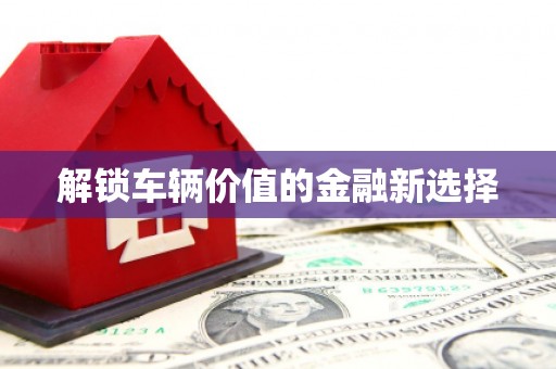 内湖解锁车辆价值的金融新选择