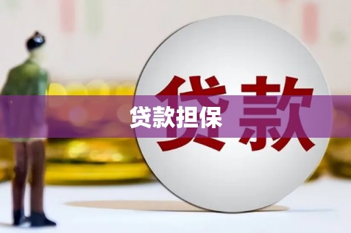 内湖贷款担保