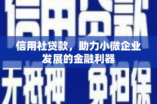 内湖信用社贷款，助力小微企业发展的金融利器