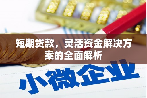 内湖短期贷款，灵活资金解决方案的全面解析