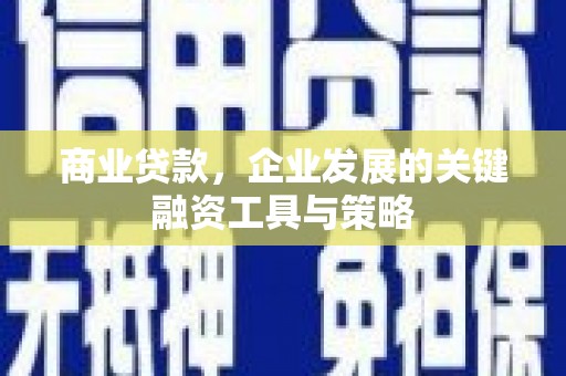 内湖商业贷款，企业发展的关键融资工具与策略