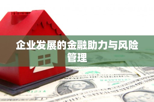 内湖企业发展的金融助力与风险管理