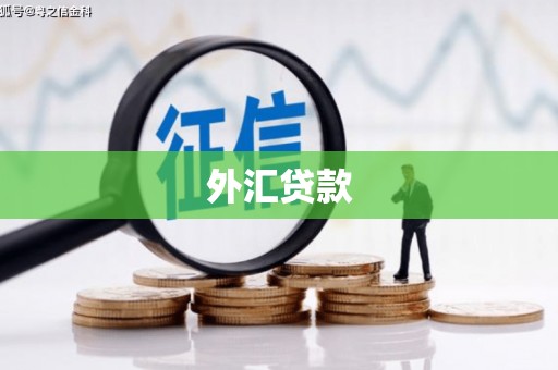 内湖外汇贷款