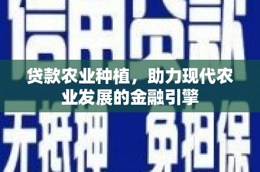 内湖贷款农业种植，助力现代农业发展的金融引擎
