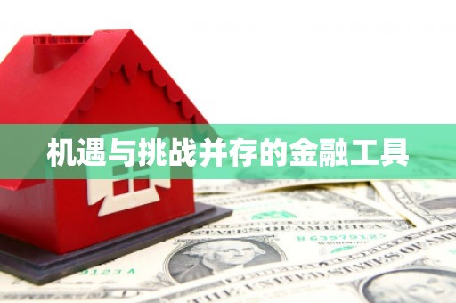内湖机遇与挑战并存的金融工具