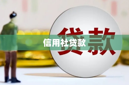 内湖信用社贷款