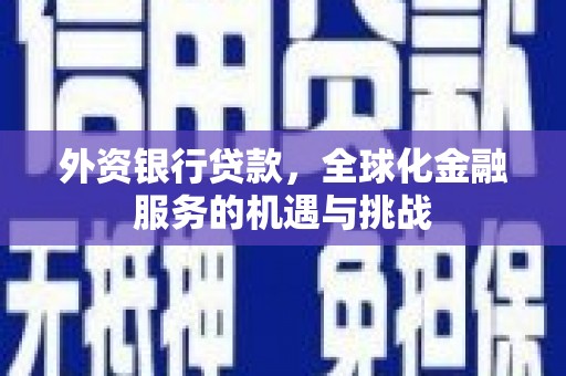 内湖外资银行贷款，全球化金融服务的机遇与挑战
