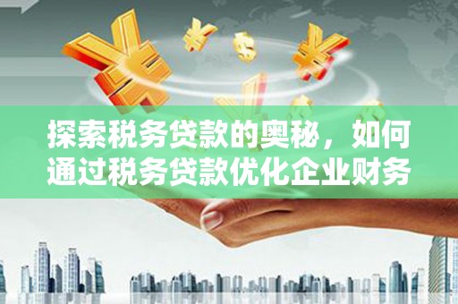 内湖探索税务贷款的奥秘，如何通过税务贷款优化企业财务