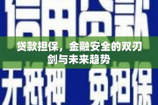 内湖贷款担保，金融安全的双刃剑与未来趋势