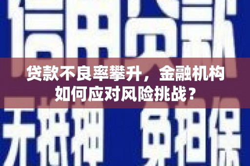内湖贷款不良率攀升，金融机构如何应对风险挑战？