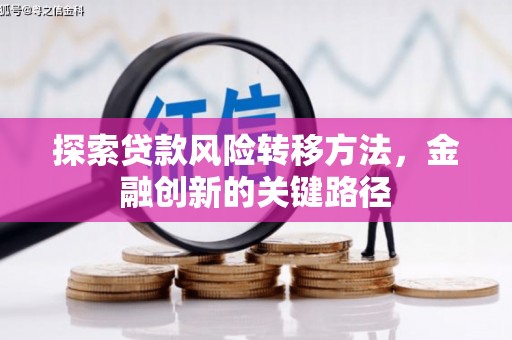 内湖探索贷款风险转移方法，金融创新的关键路径