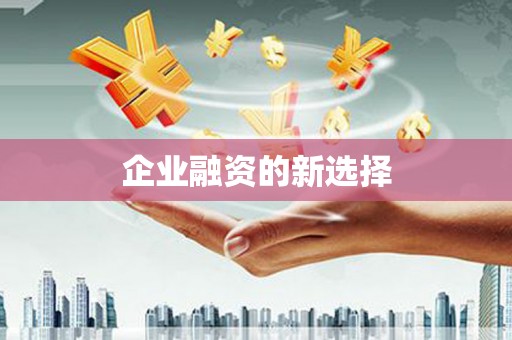 内湖企业融资的新选择