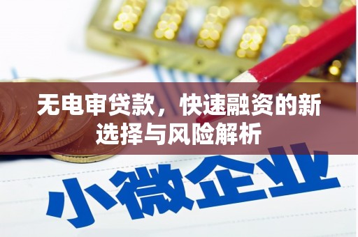 内湖无电审贷款，快速融资的新选择与风险解析