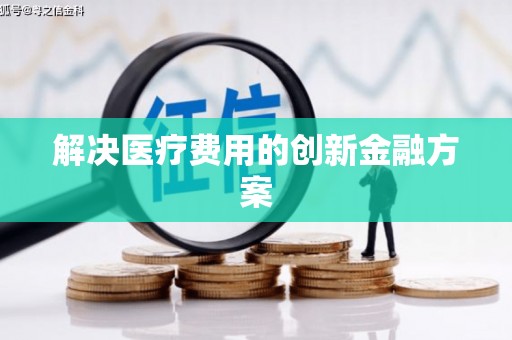 内湖解决医疗费用的创新金融方案
