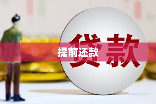 内湖提前还款