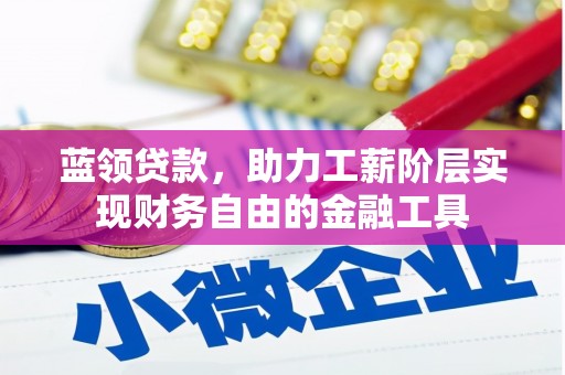 内湖蓝领贷款，助力工薪阶层实现财务自由的金融工具