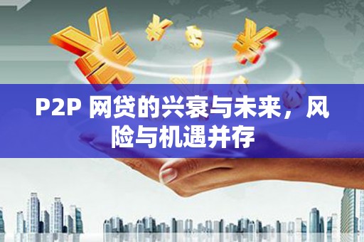 内湖P2P 网贷的兴衰与未来，风险与机遇并存