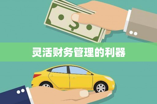 内湖灵活财务管理的利器