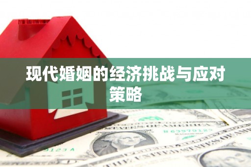 内湖现代婚姻的经济挑战与应对策略