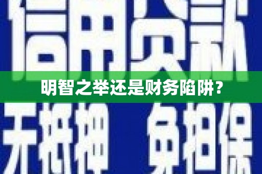 内湖明智之举还是财务陷阱？