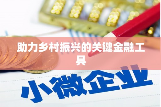 内湖助力乡村振兴的关键金融工具