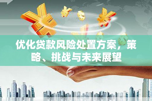 内湖优化贷款风险处置方案，策略、挑战与未来展望