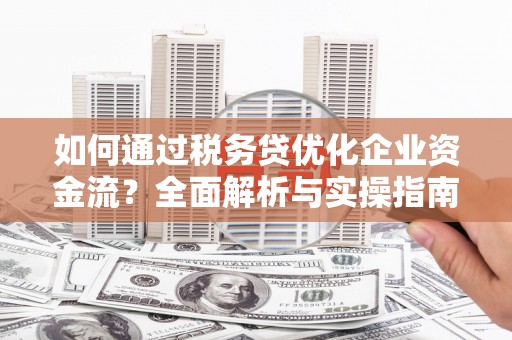 内湖如何通过税务贷优化企业资金流？全面解析与实操指南
