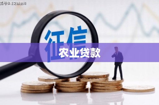 内湖农业贷款