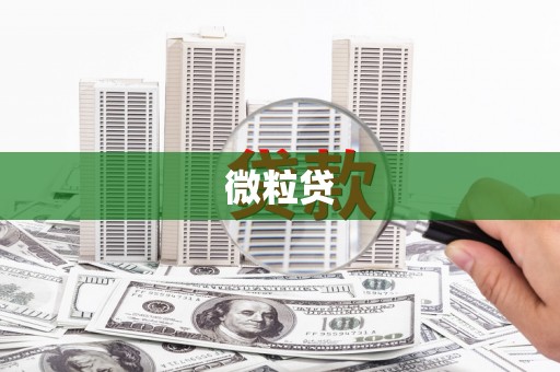 内湖微粒贷