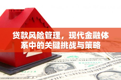 内湖贷款风险管理，现代金融体系中的关键挑战与策略