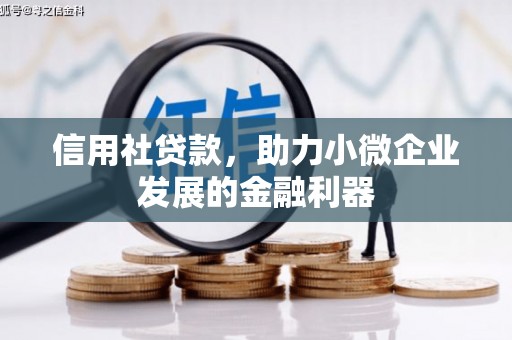 内湖信用社贷款，助力小微企业发展的金融利器
