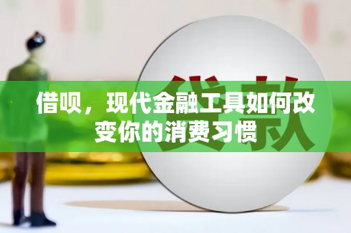 内湖借呗，现代金融工具如何改变你的消费习惯