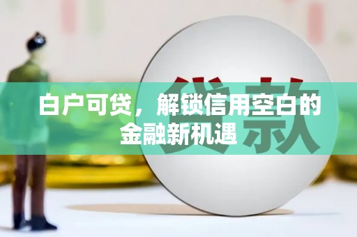 内湖白户可贷，解锁信用空白的金融新机遇