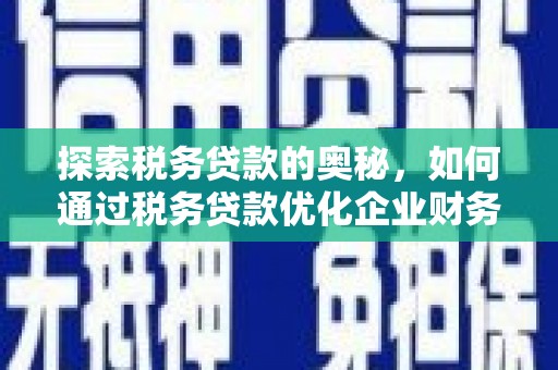 内湖探索税务贷款的奥秘，如何通过税务贷款优化企业财务