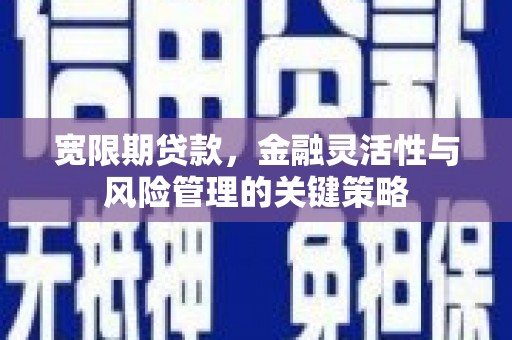 内湖宽限期贷款，金融灵活性与风险管理的关键策略