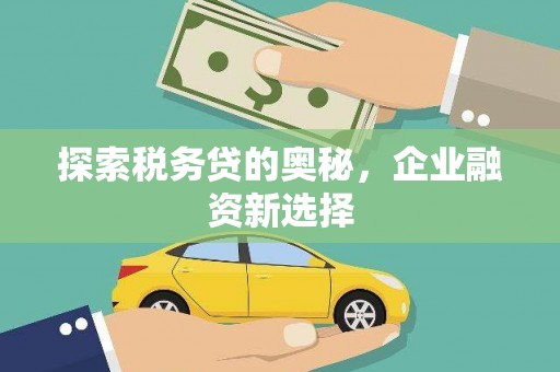 内湖探索税务贷的奥秘，企业融资新选择