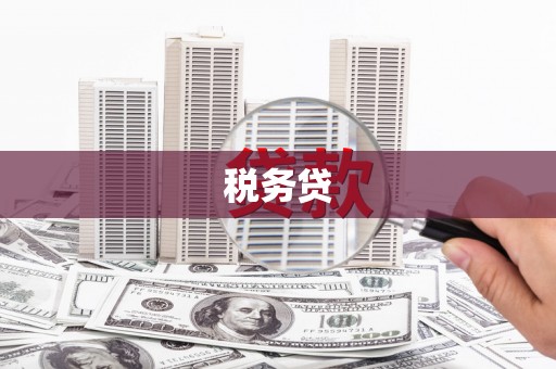 内湖税务贷