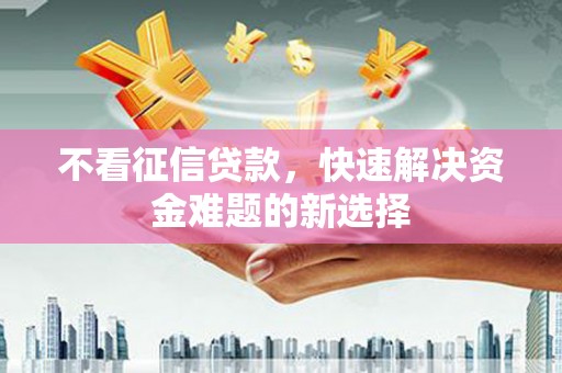 内湖不看征信贷款，快速解决资金难题的新选择