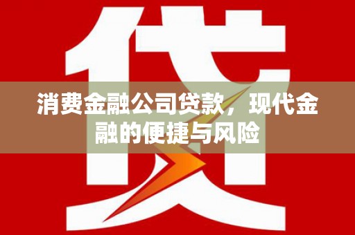 内湖消费金融公司贷款，现代金融的便捷与风险