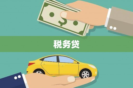 内湖税务贷
