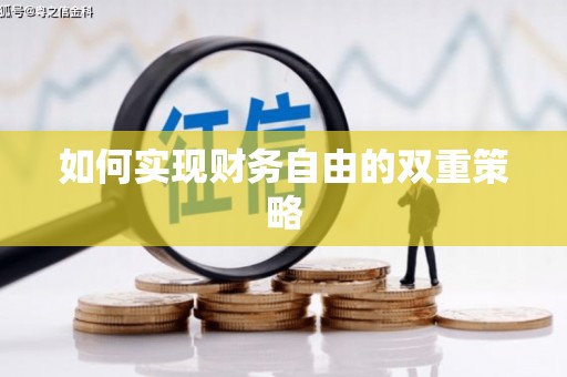 内湖如何实现财务自由的双重策略