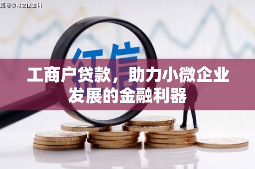 内湖工商户贷款，助力小微企业发展的金融利器