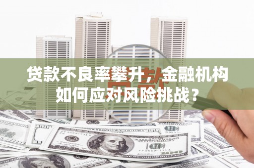 内湖贷款不良率攀升，金融机构如何应对风险挑战？