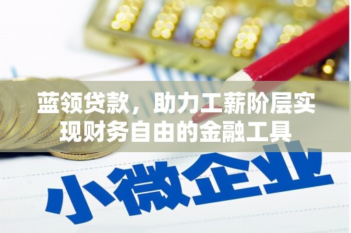 内湖蓝领贷款，助力工薪阶层实现财务自由的金融工具
