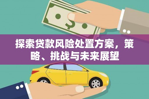 内湖探索贷款风险处置方案，策略、挑战与未来展望
